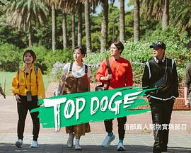 抖阴视频《TOP DOG》免费在线观看
