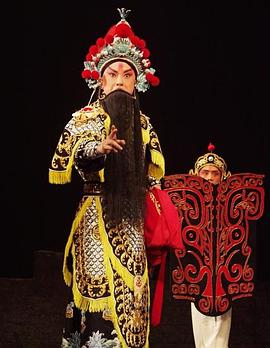 抖音吃瓜《袁崇焕2009》免费在线观看