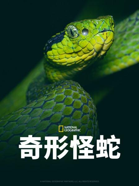 抖音吃瓜《奇形怪蛇》免费在线观看